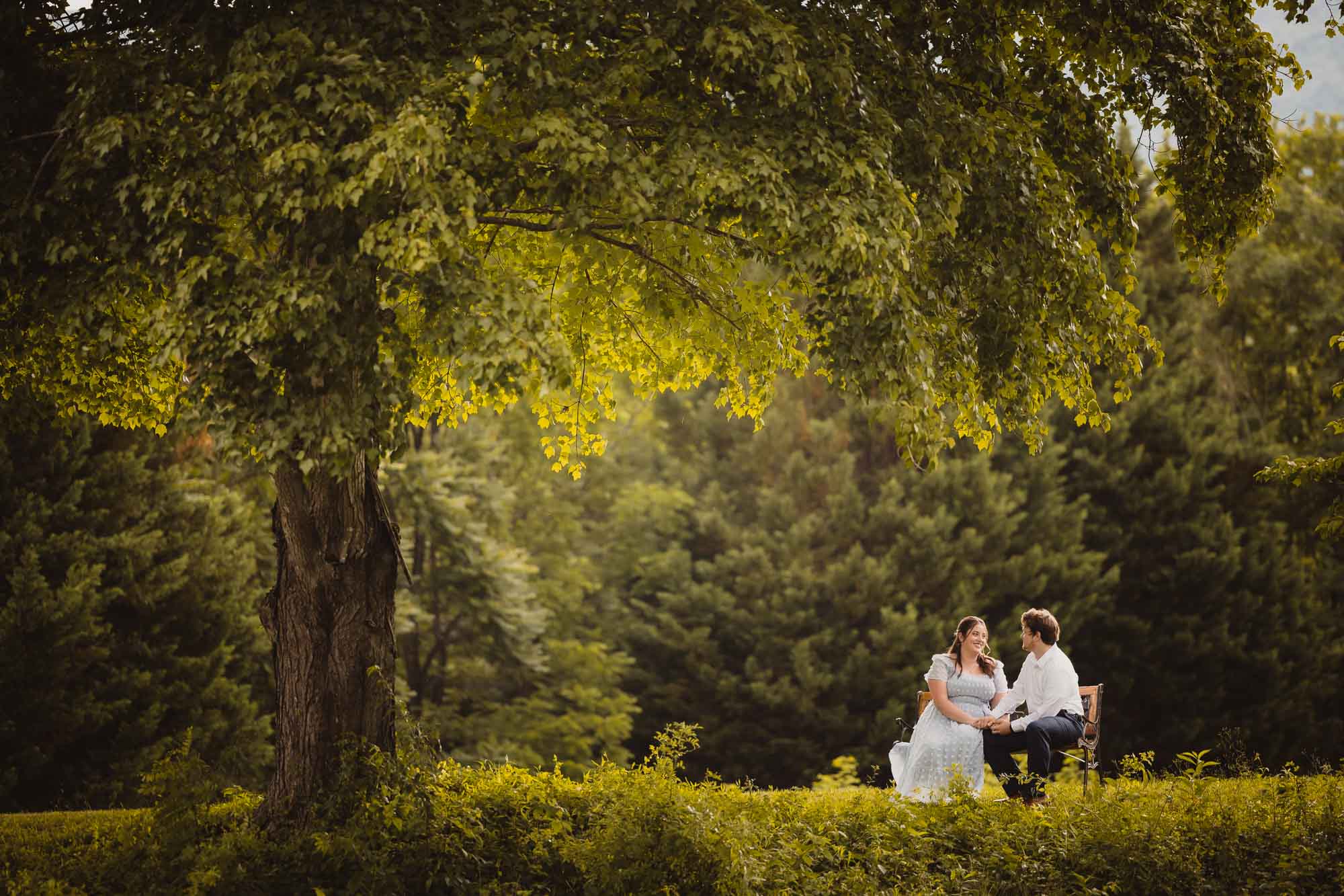 Couple sitting under a tree at golden hour in the Shenandoah Valley